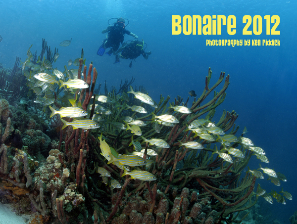 Bonaire diving photos