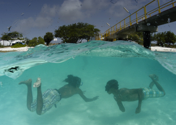 Bonaire diving photos