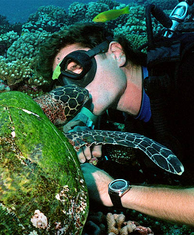 hawksbillkiss