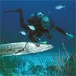 Grand Turk