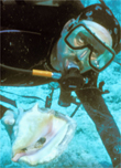 exuma cays